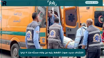 اكتشاف جديد: صوت القطط ينبه عن وفاة مسنّة منذ 4 أيام!